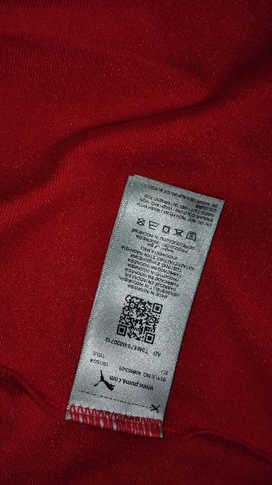 Trening Puma Team Rise FZ rosu L