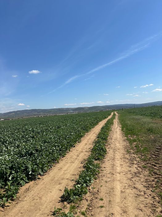 Vand teren extravilan