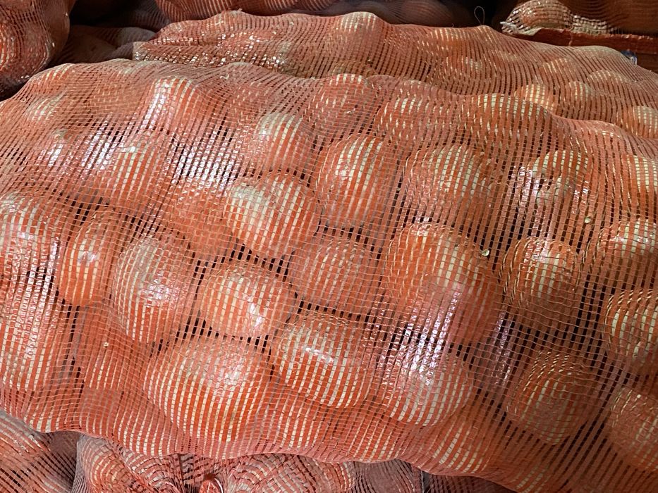 Картофель оптом сорт Ривьера