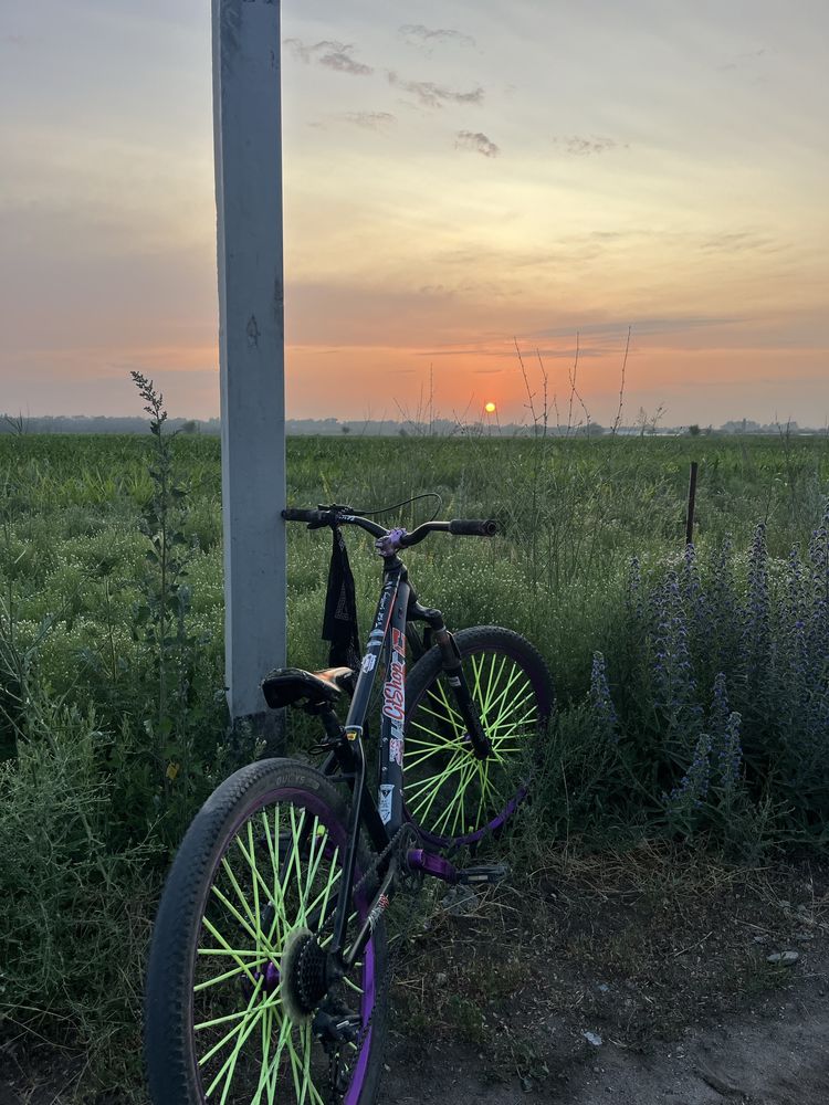 Erec L5 veloproo
