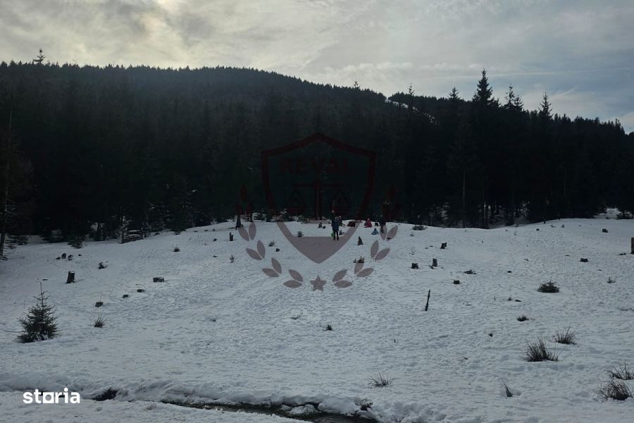 Teren in suprafata de 7.000 mp. in Arieseni, langa partia de ski.