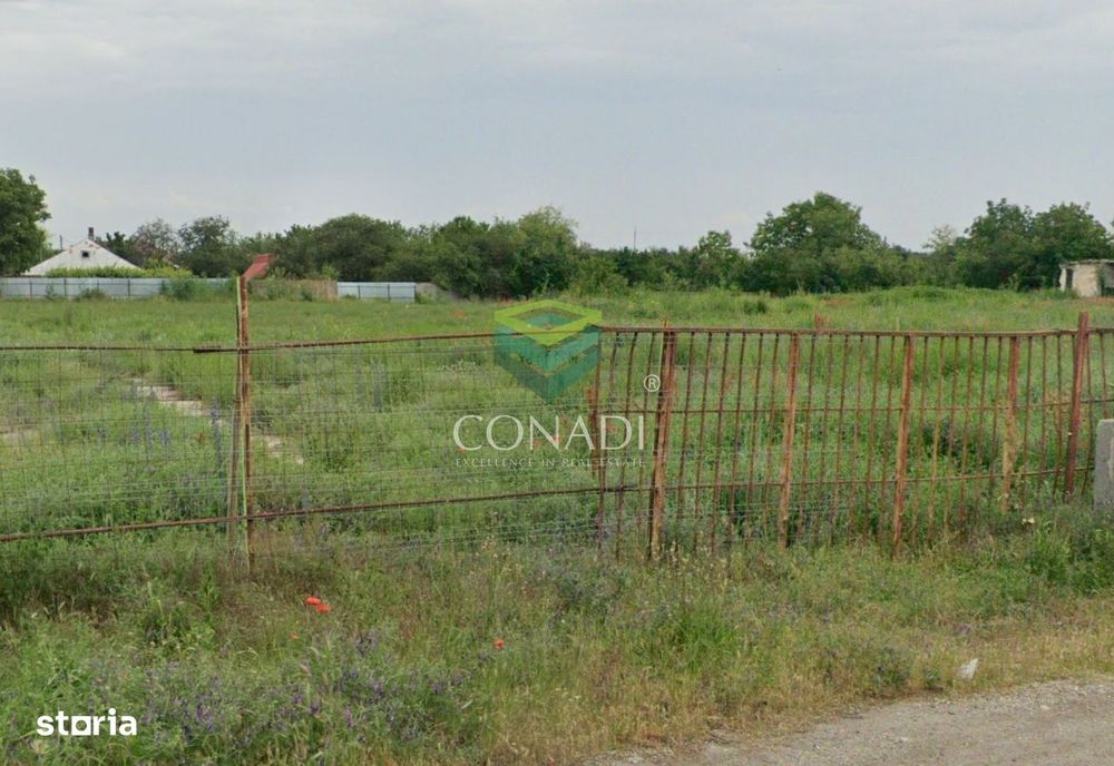 Teren 10000mp Intravilan Dor Marunt deschidere 100m