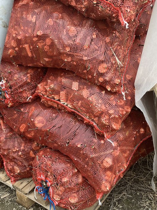 Tocatura din creanga