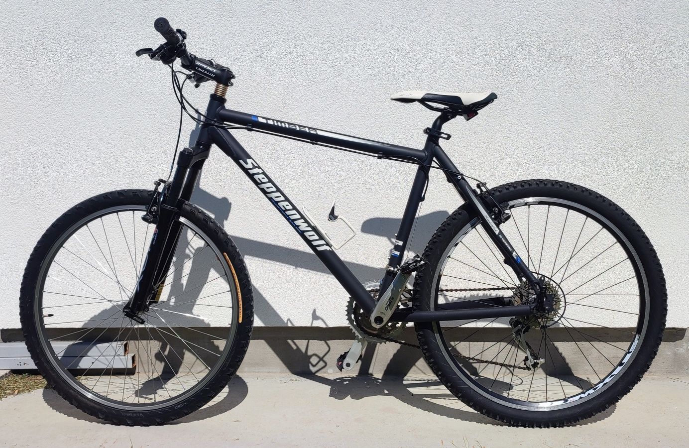 Bicicleta Steppenwolf