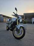 Honda hornet 600