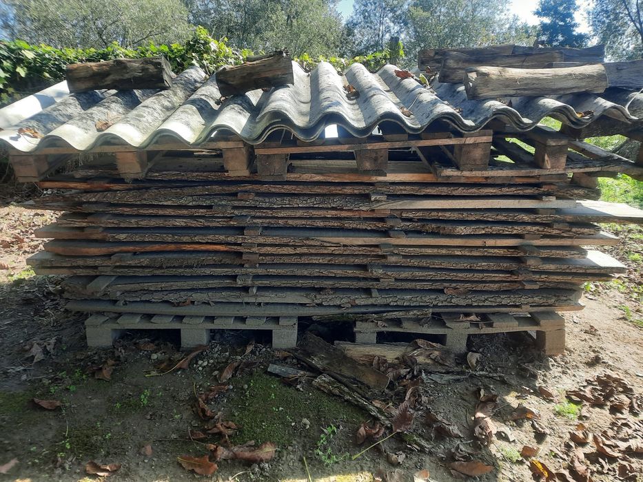 Scândură de stejar