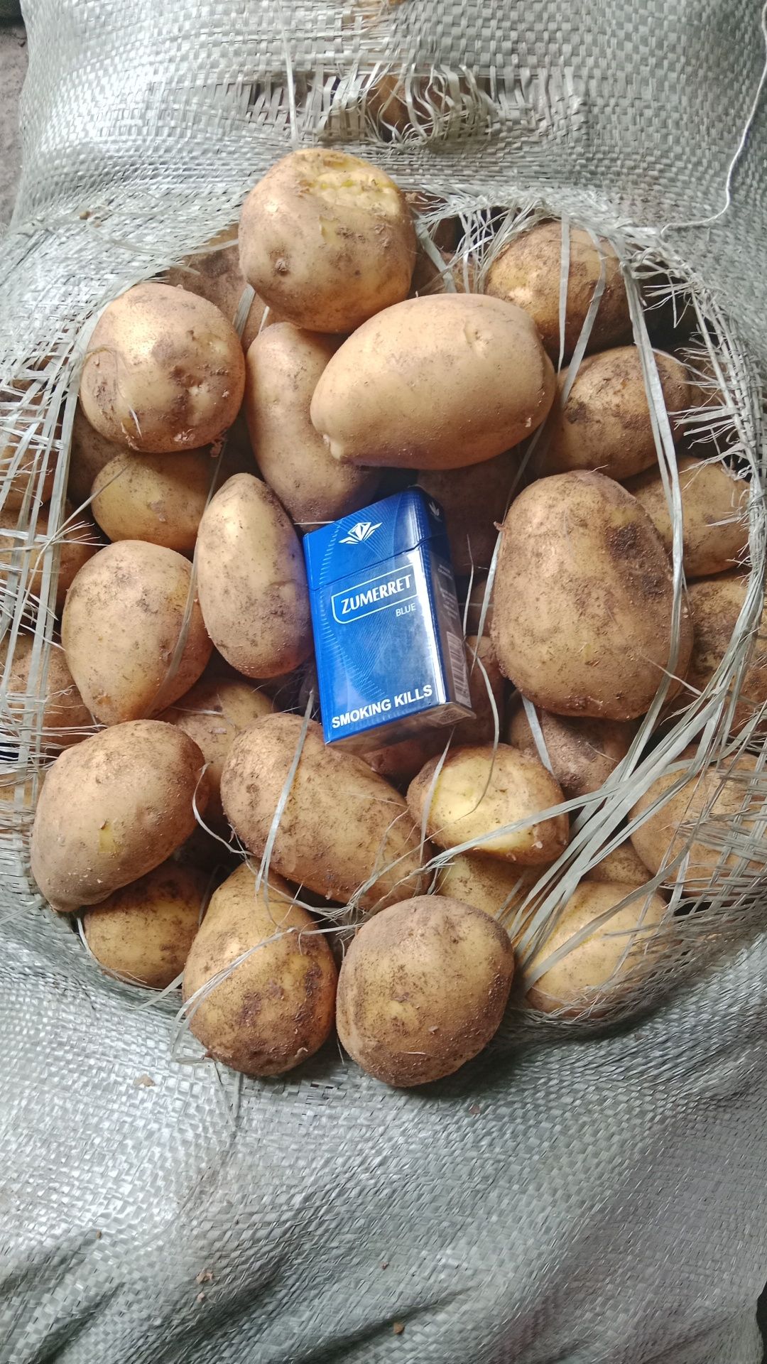Картофель домашний