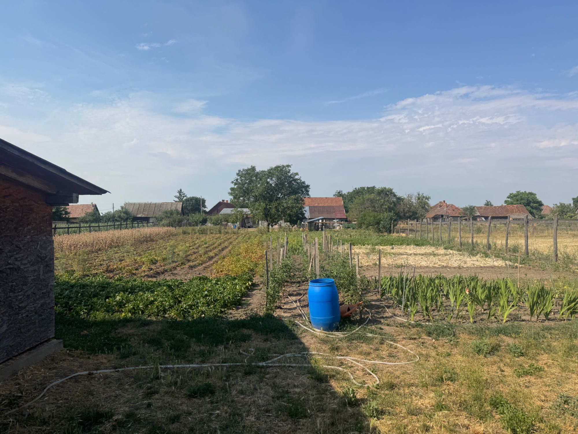 Casa de vanzare !
