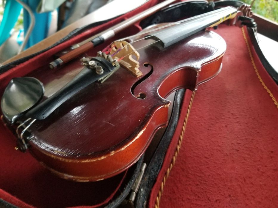 Vioara 1/4 Hora Reghin