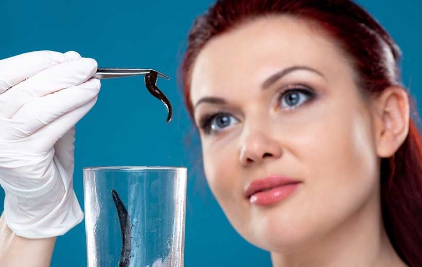 Пиявки , пиявка , сүліктер , суликтер , зулук