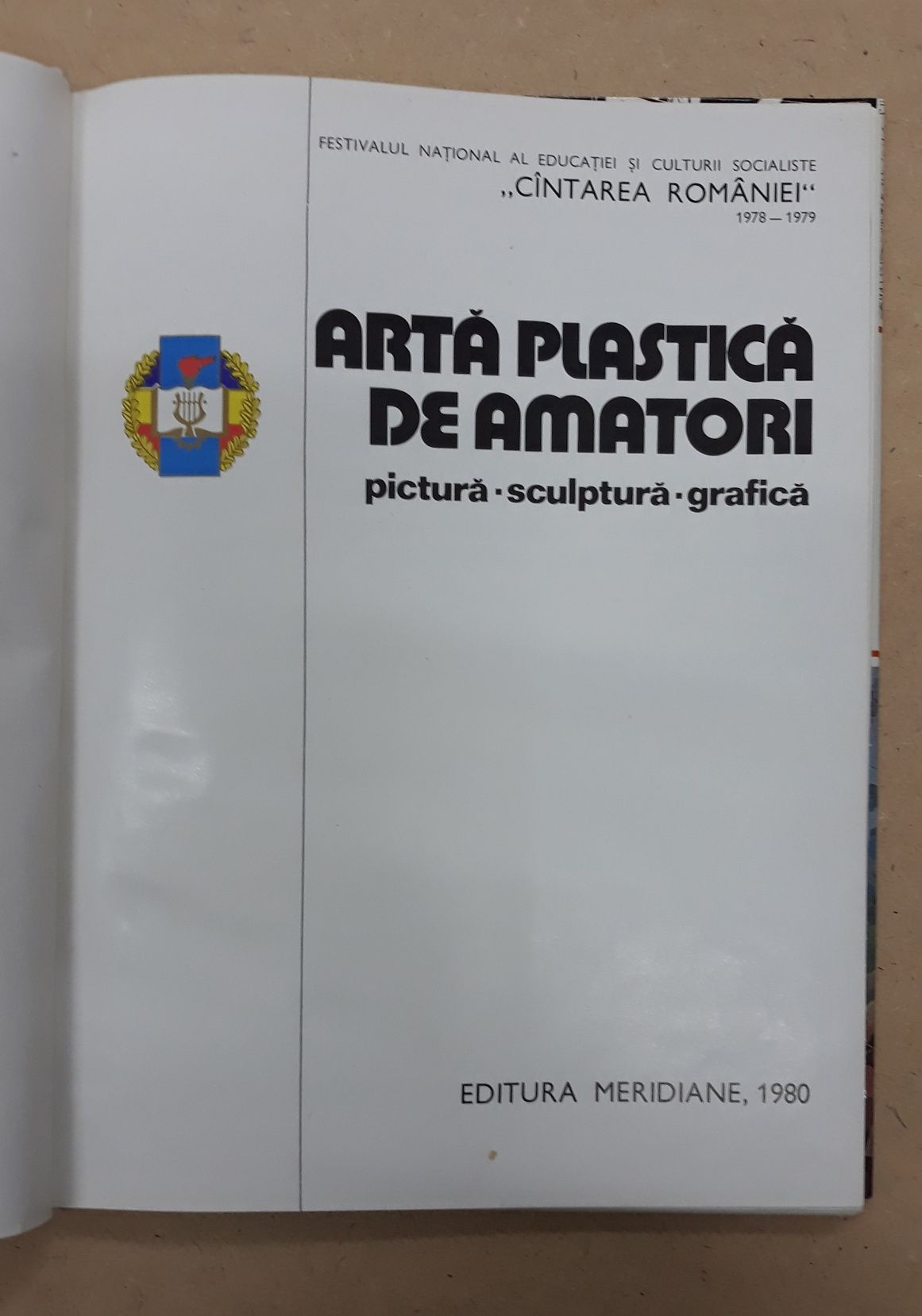 Arta plastica de amatori