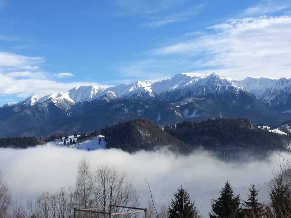 Cabana Revelion Fundata