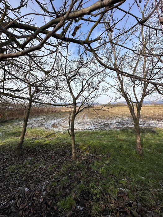 De vânzare casă cu teren în Mica, jud Cluj