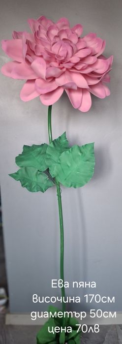 Цветя за декорация