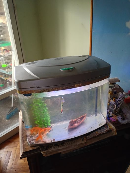 Аквариум за риби