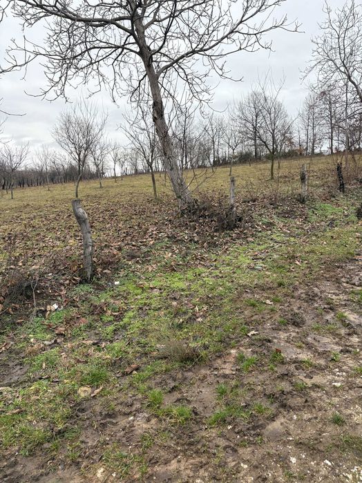 Teren Intravilan Baia de Fier