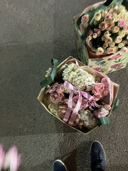 Продам пионы новые