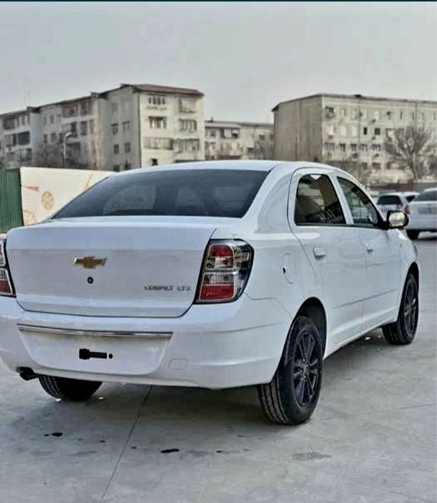 cobalt 2025 midnight masla