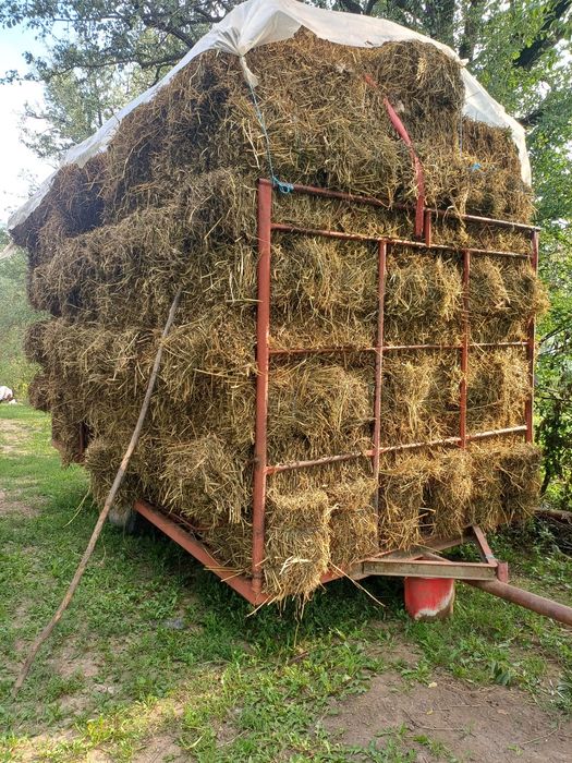 lucerna c2.Rotunzi min.40 Sau Fan.Drept.500.Cabina tractor 500 lei