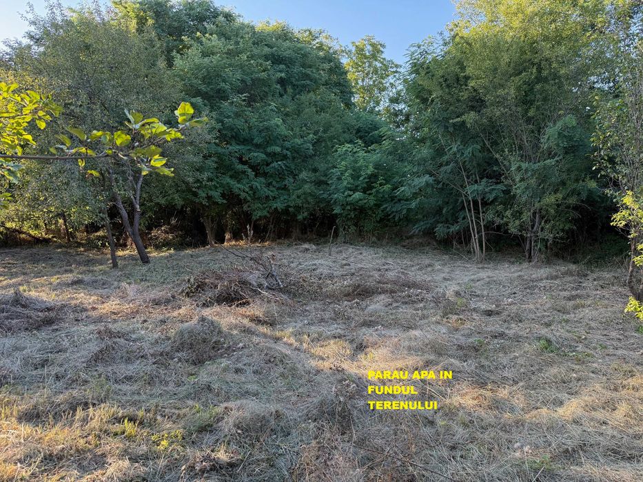 Teren 2998 mp, casa batraneasca 64mp, anexa 35mp, Gheboieni, Tatarani