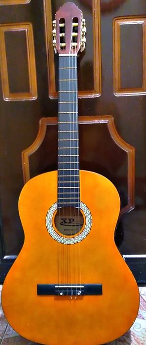 Chitara Acustica Xtreme