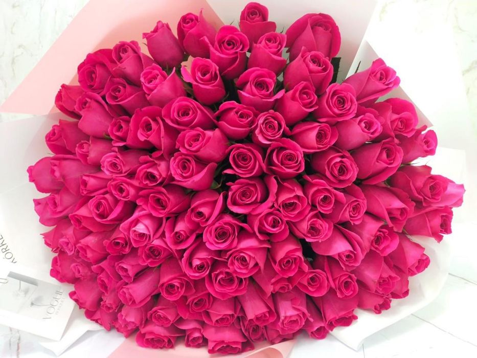 Свежая 101 роза.