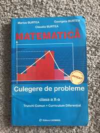 Matematica clasa X