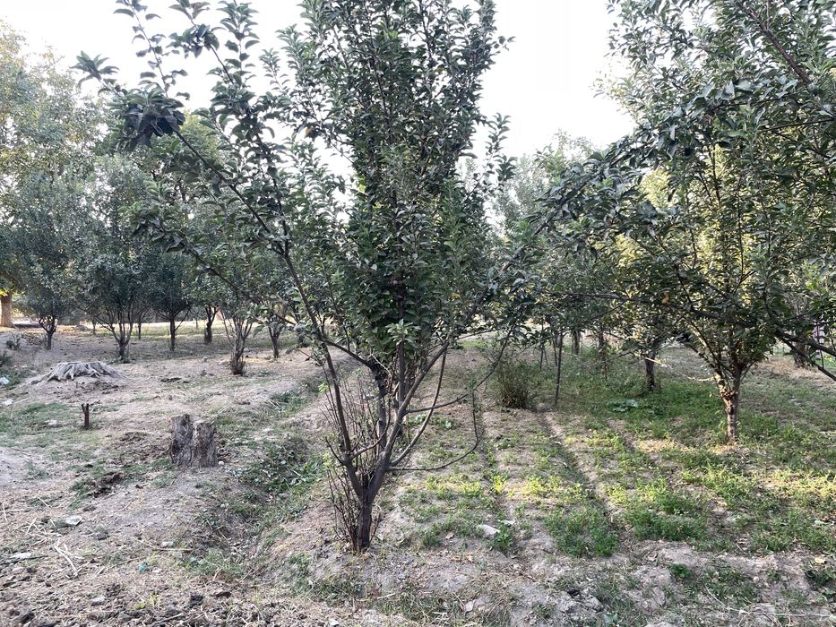 Yer sotiladi srochna