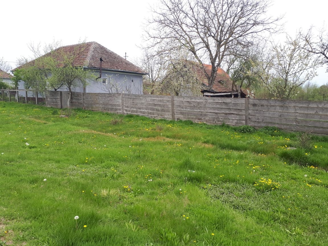 Vand casă în Șepreus , județul Arad