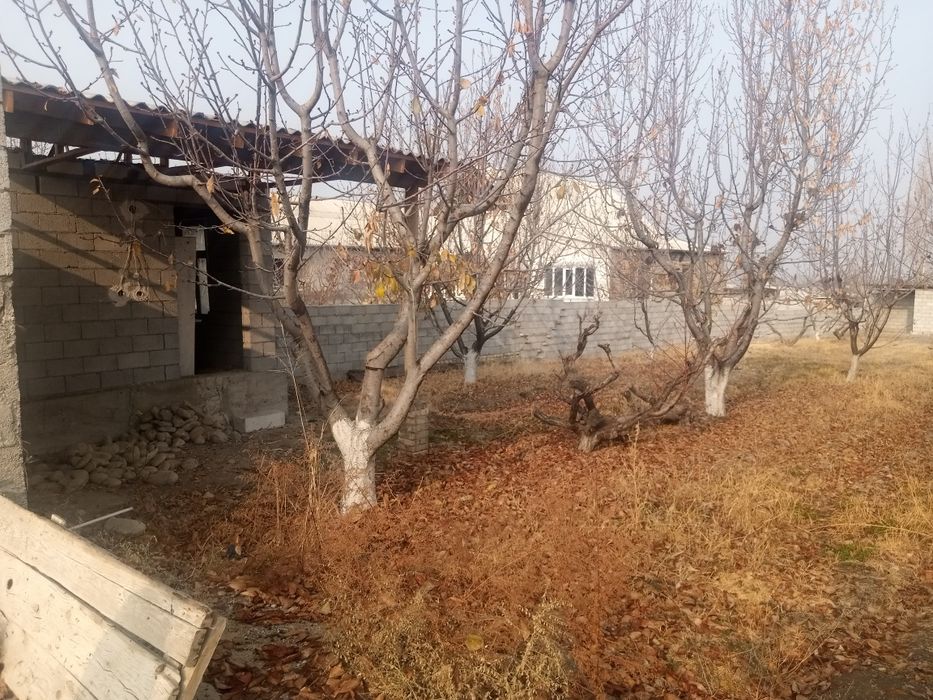 Ховли чек сотилали срочно