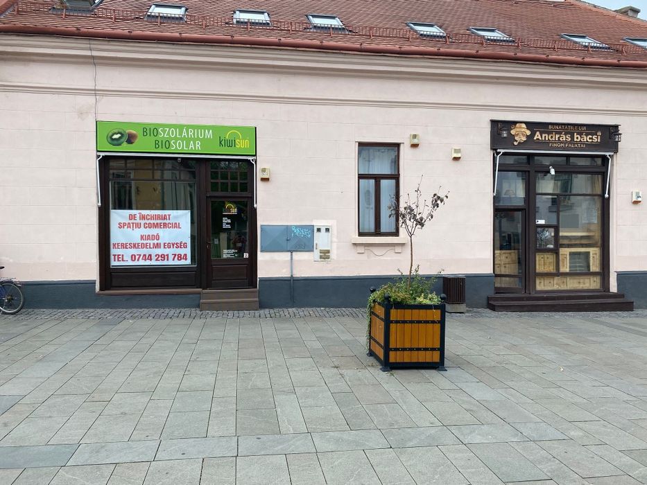 De inchiriat spatiu comercial