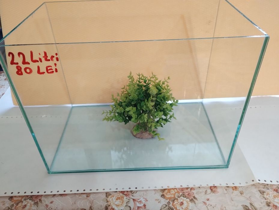 Acvarii in Pitești