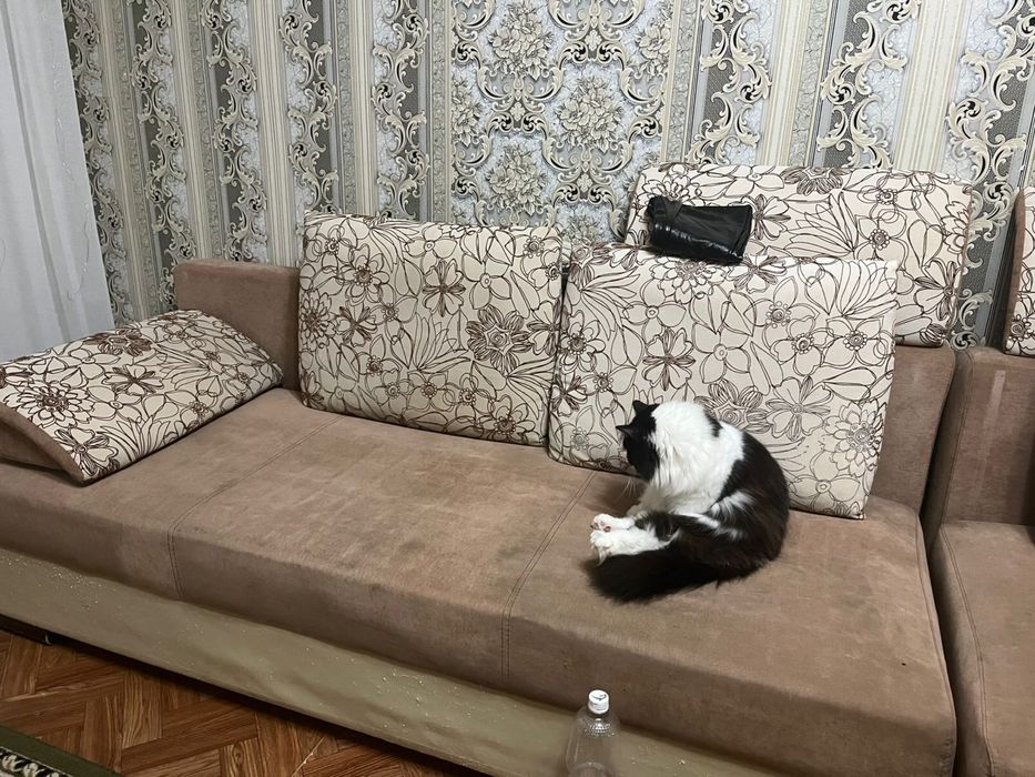 Два раскладных дивана в хорошем состоянии