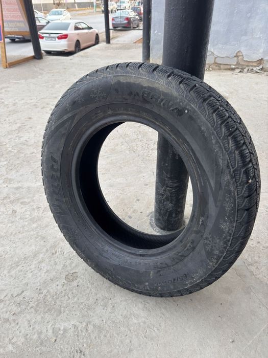 Қыстық дөңгелек, зимний балон