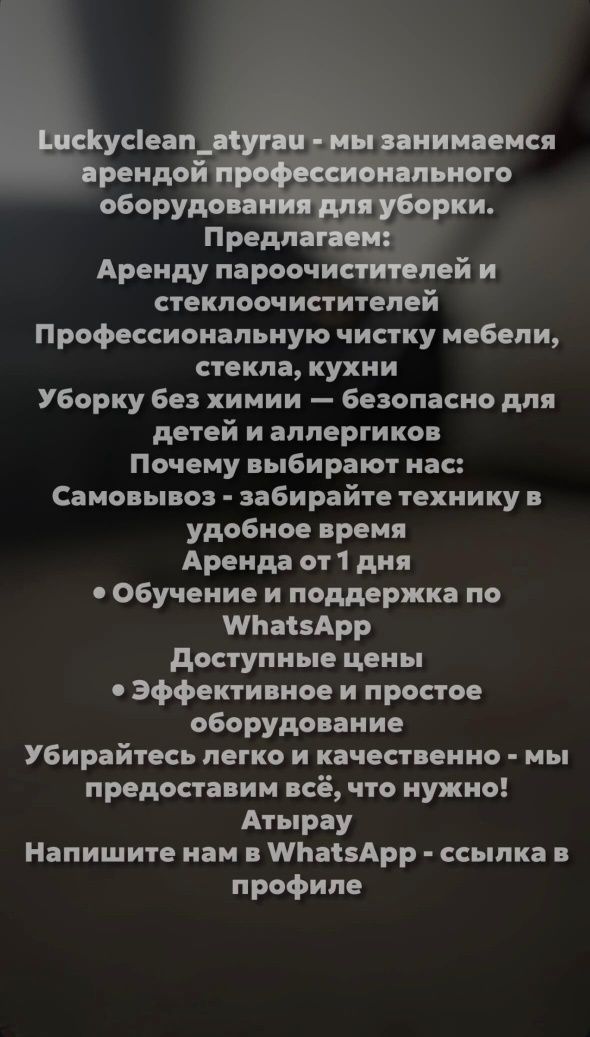 Стеклоочиститель, пароочиститель