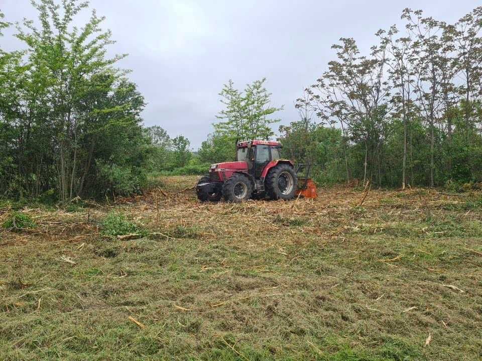 Tai iarba , curatam terenuri