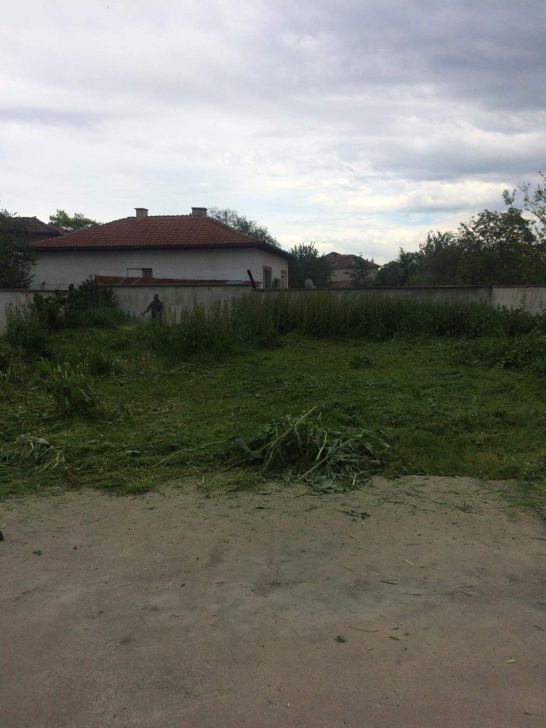 Кося трева в Пазарджик и региона