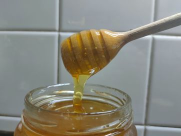 Пчелен мед продукция 2023