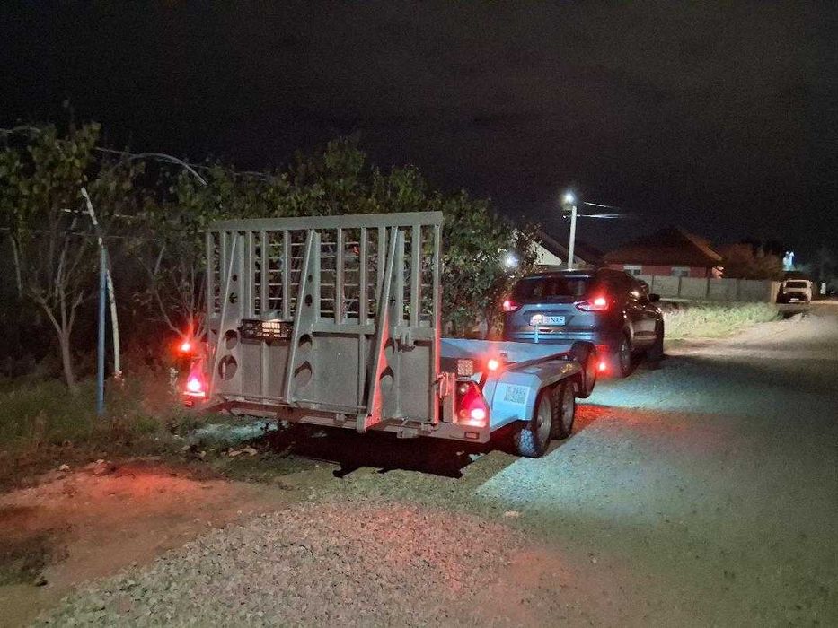 Vand remorca trailer utilaje Ifor Williams , Nuggent , Humbaur 2-3 axe