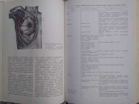 Анатомия человека. Том 1-2 (1986)