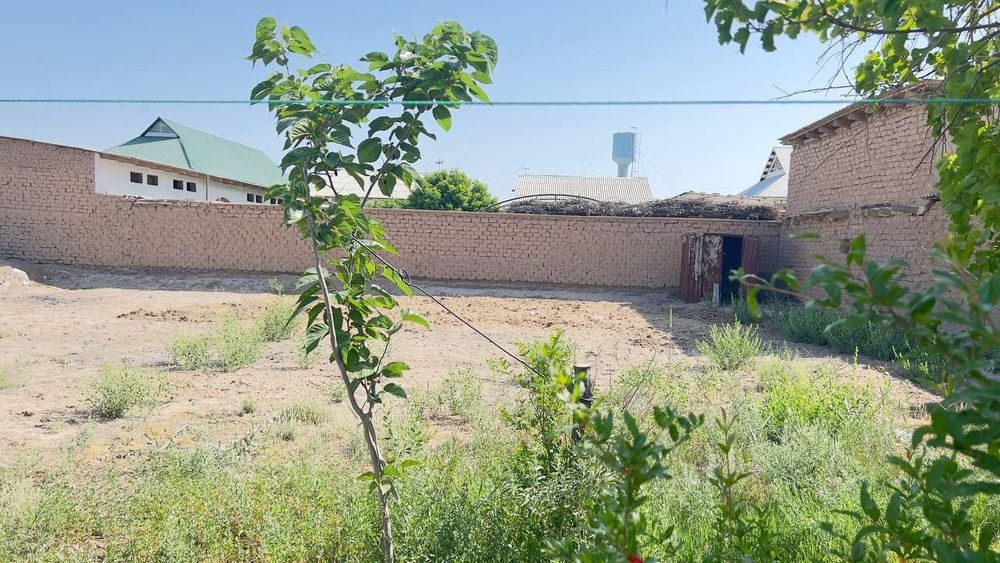 Термиз йер 5 сутук