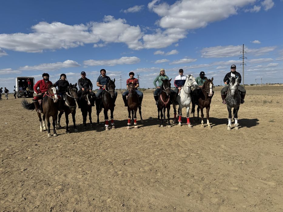 Продам лощадь аяк колы сау кокпар шауып тур