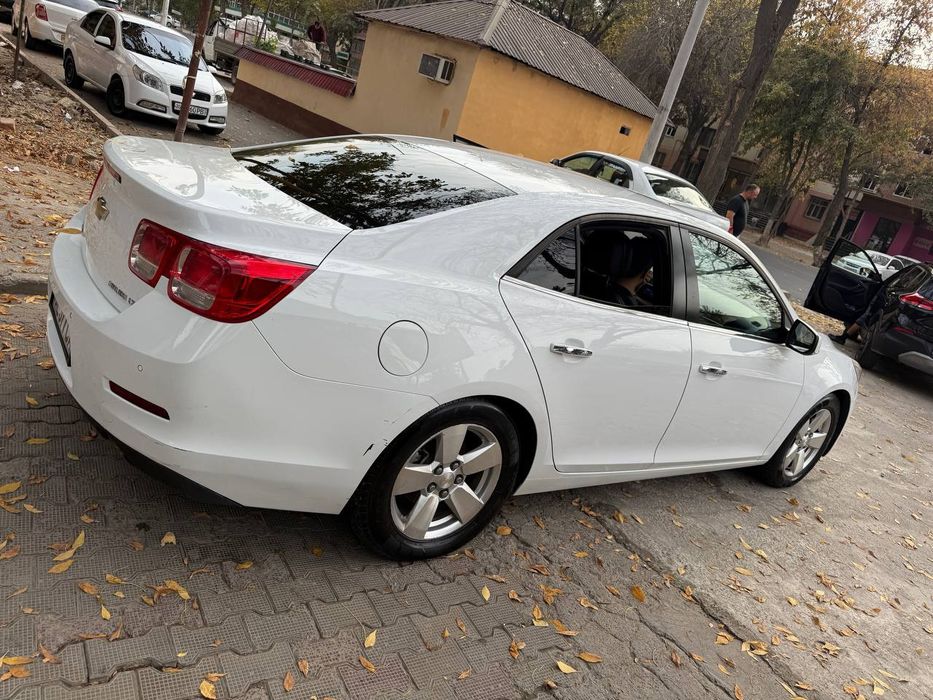 Malibu 1. Pazitsiya 2 lyuki bor 2013god