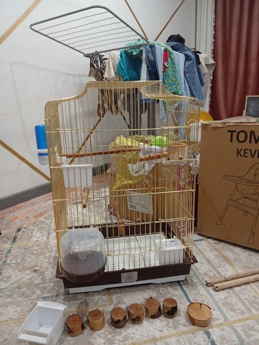 Клетка от попугая, можно под грызунов.
