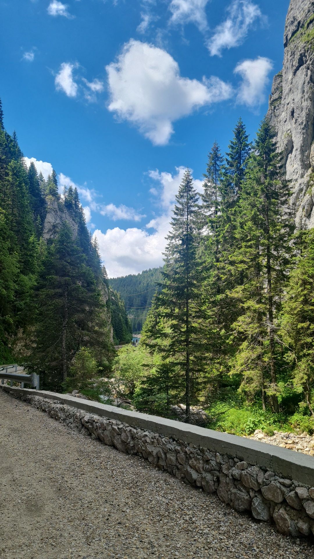 Excursii montane in Muntii Bucegi