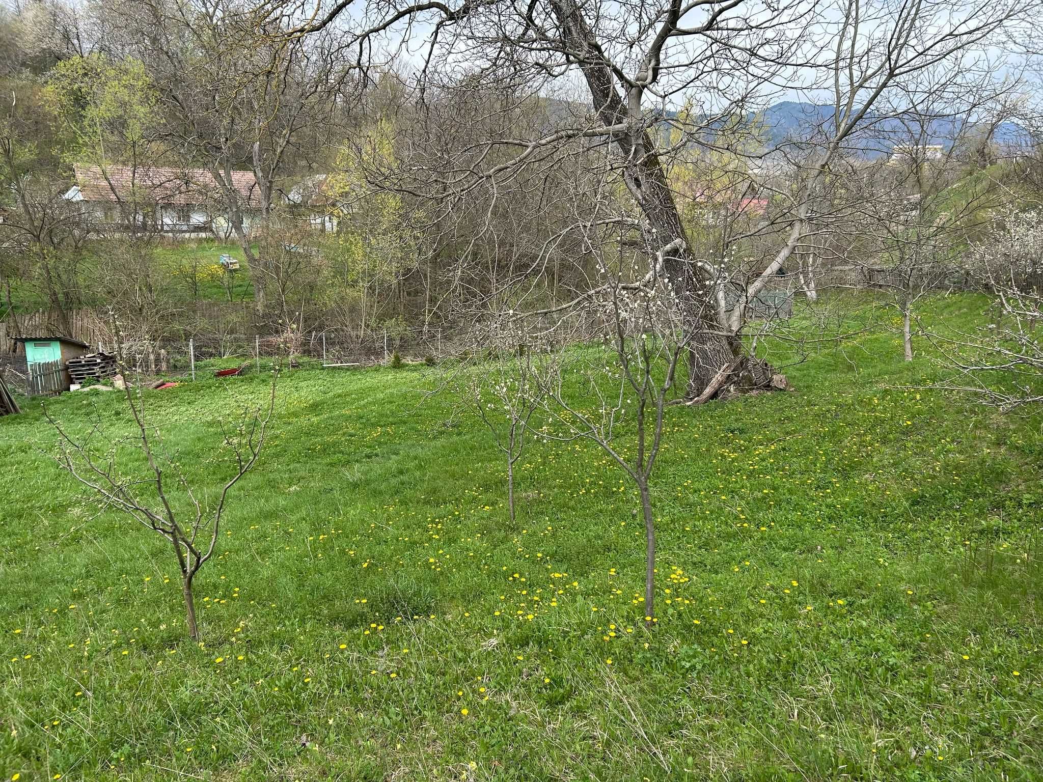 Casa de vanzare in Moinești