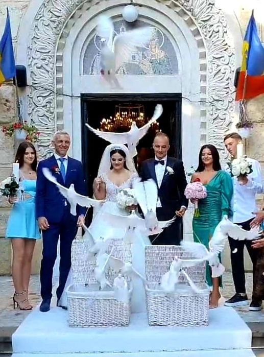 Porumbei albi Evenimente Constanta