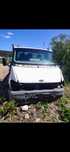 Ford transit basculabil