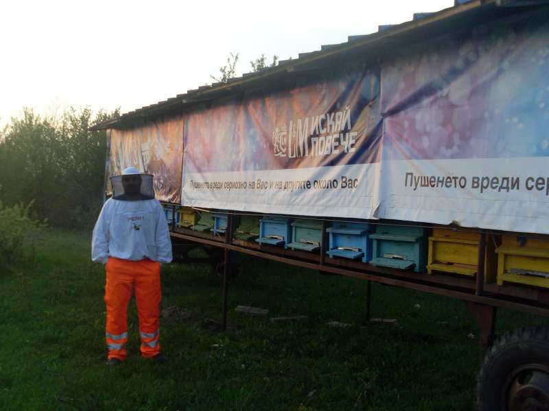 Продавам пчелен мед и прашец от района на с. Радишево,Плевенско.