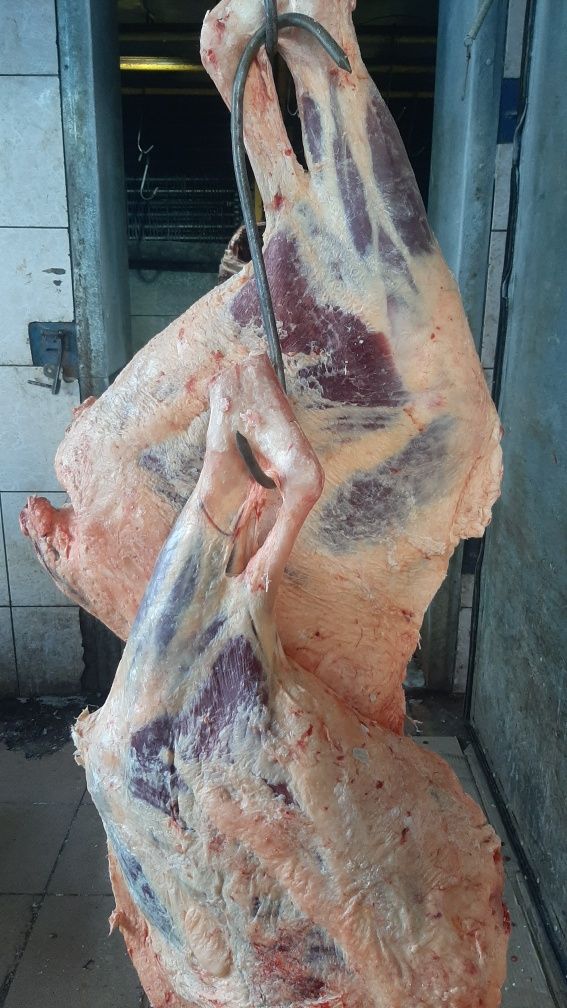 Продам мясо говядины (халяль)
